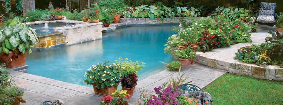 potted plants used to landscape pool