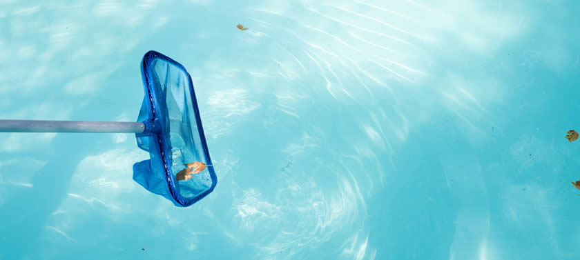 Backyard pool skimming maintenance